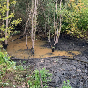 Причиной резкого запаха у ДТЮ во Владимире стал застой ливневых вод под мостом