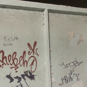 Во Владимире вандалы разрисовали стены зданий и заборы