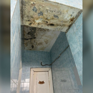 В спортшколе имени Прокурорва в Муроме нашли грибок и следы протечек