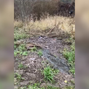 Жители Боголюбово пожаловались на слив сточных вод под окнами