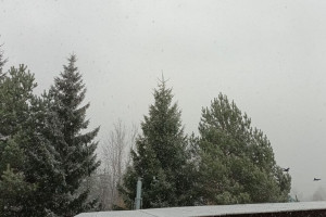 Во Владимирской области начался снегопад 20 ноября