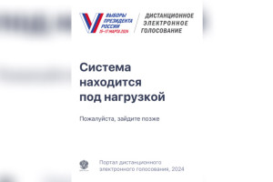 Владимирцы пожаловались на перебои в работе портала дистанционного голосования