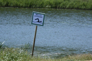 Роспотребнадзор разрешил купание на 10 из 40 пляжах во Владимирской области