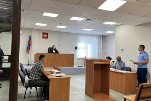 Житель Коврова получил 9 лет колонии за убийство престарелого сожителя матери