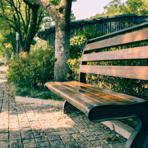 В Гусь-Хрустальном запланировали благоустроить набережную