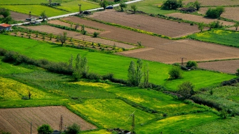 Под Ковровом многодетную семью оставили без газа