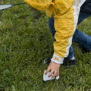 В Коврове начали обработку общественных мест от клещей