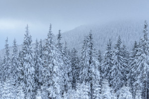 Во Владимире нашли 56-летнюю женщину в розовом домашнем костюме
