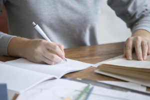 Во Владимире жалобы на образование возглавили в топ-5 популярных обращений в сентябре