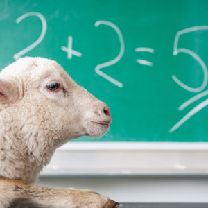 22% владимирских школьников провалили ОГЭ по математике