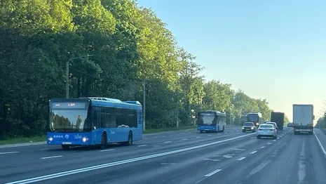 Во Владимире заговорили о покупке 17 автобусов у компании из Москвы