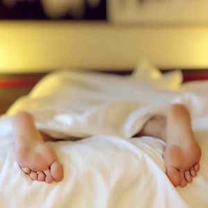 Вooking оштрафовали за навязывание невыгодных условий владимирским отельерам