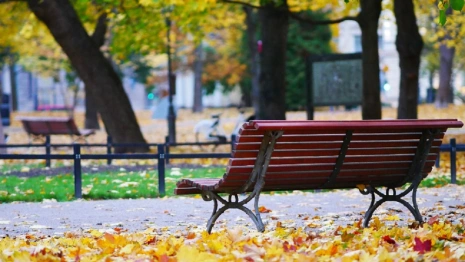 Магнитная буря накроет Владимирскую область в выходные