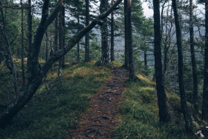 Пропавшего во Владимире 20-летнего парня в черно-красной толстовке нашли живым