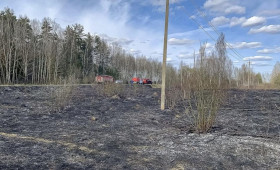 В Камешковском районе пожар уничтожил 400 квадратов сухой травы