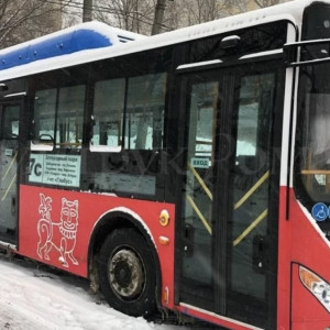 Во Владимире начали распродавать новые автобусы за 2,5 млн рублей