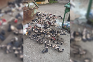 Прославившаяся в Сети свалка женских туфель оказалась в 650 км от Владимира