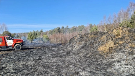 За сутки во Владимирской области области сухая трава загорелась в 32 местах