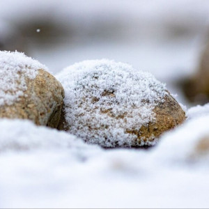 Во Владимирской области в выходные будет мокро и снежно