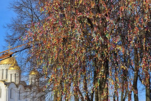 Во Владимире к маю снова «расцветет» пасхальное дерево