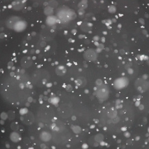 Во Владимирской области выпадет мокрый снег