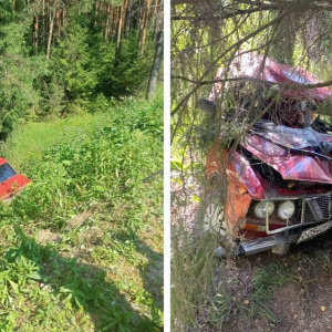 Во Владимирской области 53-летний водитель ВАЗ врезался в дерево