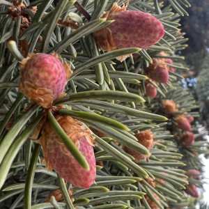 Во Владимирской области пообещали жару и пасмурную погоду