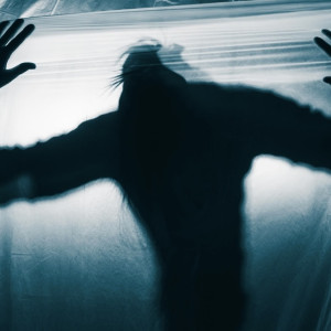 Расчлененным в Петушинском районе оказался переводчик-трансгендер