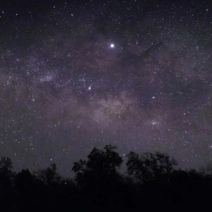 Жители Владимирской области увидят самый мощный звездопад года в выходные