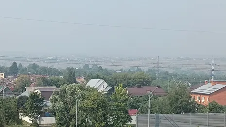 Дороги Владимирской области утонули в дымовой завесе лесных пожаров