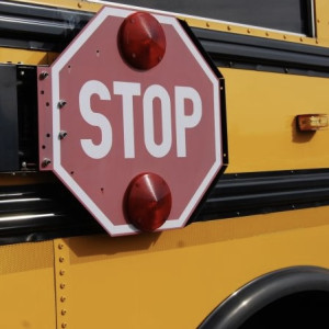 Во Владимирскую область приехали 29 новых школьных автобусов