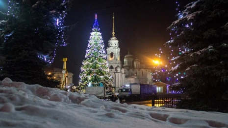 Владимирцы определились с желаемым форматом новогодних гуляний
