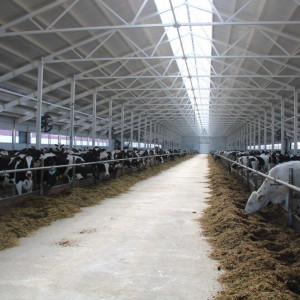 В Юрьев-Польском районе открыли животноводческий комплекс