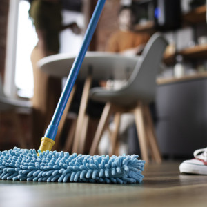 В школах Владимирской области могут ввести трудовое воспитание