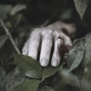 Без вести пропавшего 47-летнего жителя Владимира нашли мертвым на тропинке в лесу