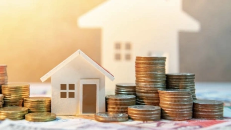 Во Владимирской области многодетным семьям предложили выбрать между деньгами и землей