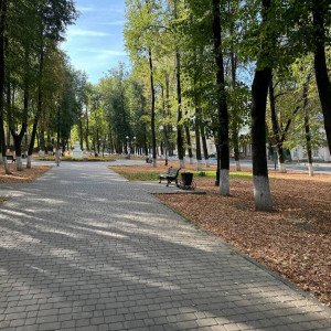 Во Владимире назвали главные проблемы города за вторую половину сентября-2024