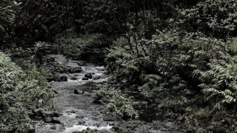 Пропавшую в Муроме женщину в розовых тапках нашли мертвой