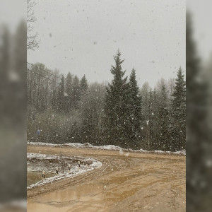 Александровский район засыпало снегом