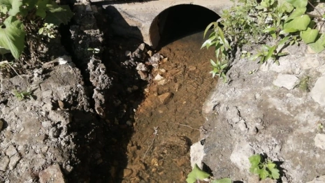 Минприроды заинтересовалось загрязнением Рпени во Владимире