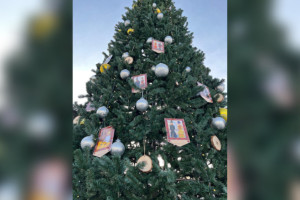 Елка из Покрова может стать лучшей в стране