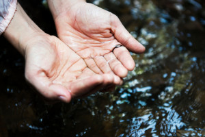 Во Владимирской области начали благоустройство 3 родников