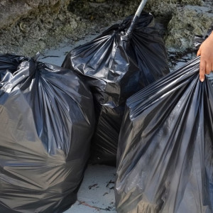 В поле под Александровом нашли свалку из мешков с бараньими потрохами