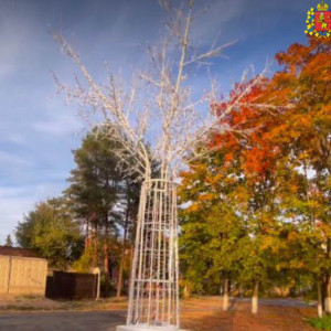 В Киржаче установили первое световое дерево