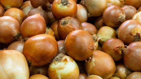 Луков день: что можно и нельзя делать 31 октября