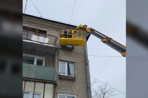 Во Владимирской области волонтеры спасли голубя
