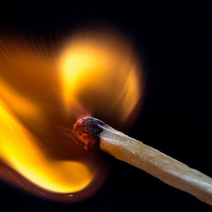 Во Владимирской области возбудили 5 уголовных дел из-за лесных пожаров