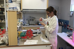 Школьница из Коврова стала победительницей федеральной премии