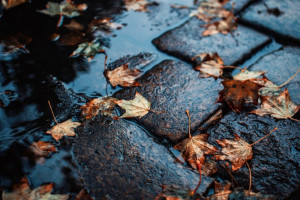 Прогноз погоды во Владимирской области на 19 ноября 2024 года