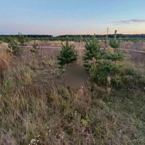 Пропавшую 43-летнюю жительницу Камешковского района убили